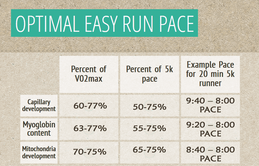 optimal-easy-run-pace