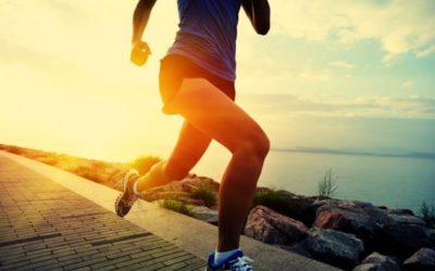 Quality Run Training